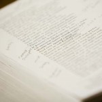 College Essay Editor College Essay Editor